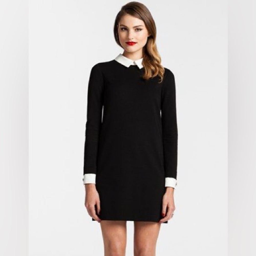 Cynthia Steffe Collared Ponte Knit Shift Dress
